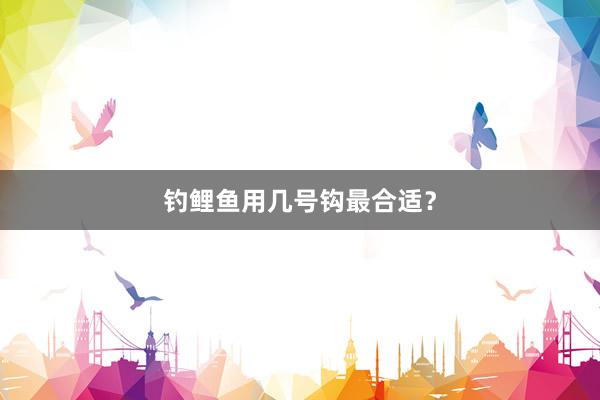 钓鲤鱼用几号钩最合适？