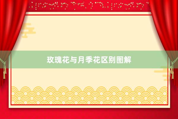 玫瑰花与月季花区别图解